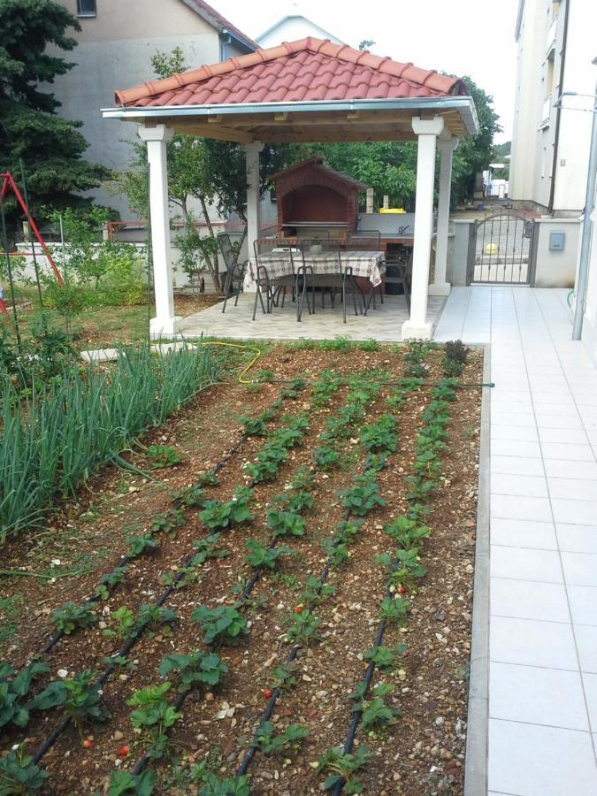Apartament Sanja M 1 Orebić Zewnętrze zdjęcie